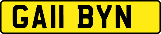 GA11BYN