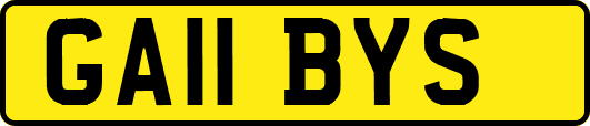 GA11BYS