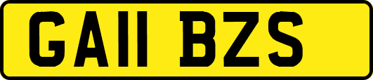 GA11BZS