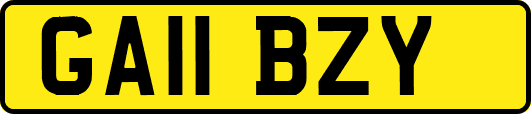 GA11BZY
