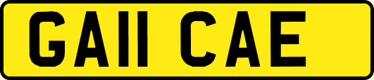 GA11CAE