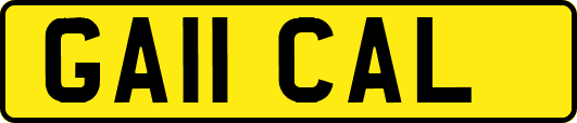 GA11CAL