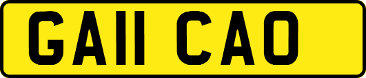 GA11CAO