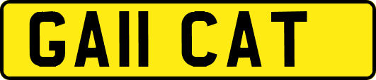 GA11CAT