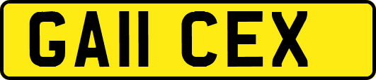 GA11CEX