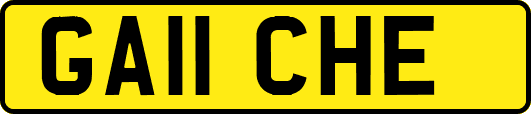 GA11CHE