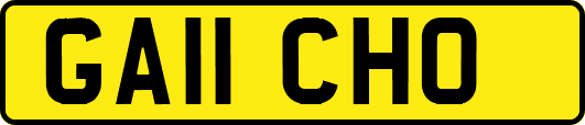 GA11CHO