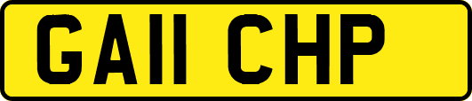 GA11CHP