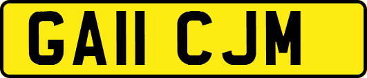 GA11CJM