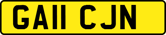 GA11CJN