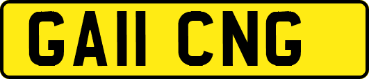GA11CNG