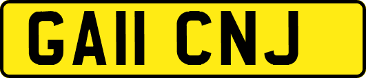 GA11CNJ