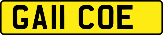 GA11COE