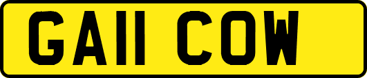GA11COW