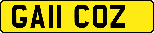 GA11COZ