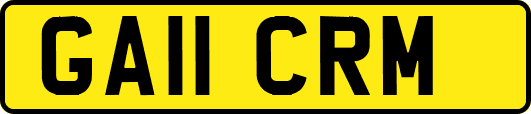 GA11CRM