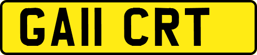 GA11CRT