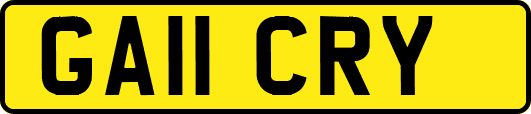 GA11CRY