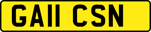 GA11CSN