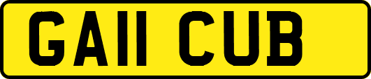 GA11CUB