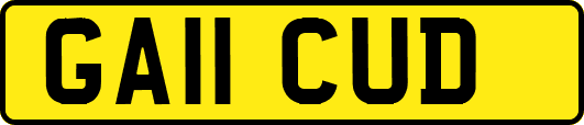 GA11CUD