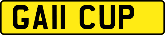 GA11CUP