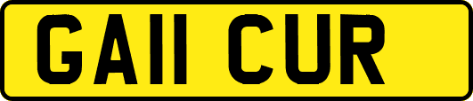 GA11CUR