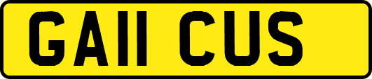 GA11CUS