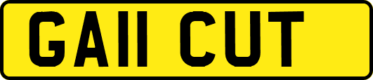 GA11CUT