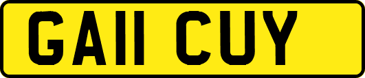 GA11CUY