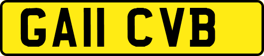 GA11CVB