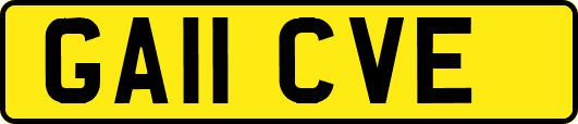 GA11CVE
