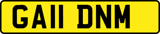 GA11DNM