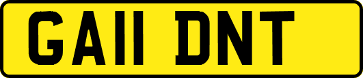 GA11DNT