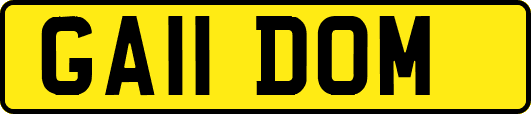 GA11DOM