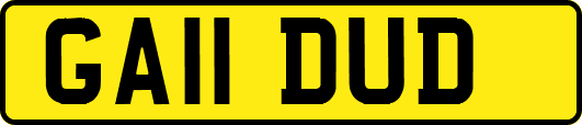 GA11DUD