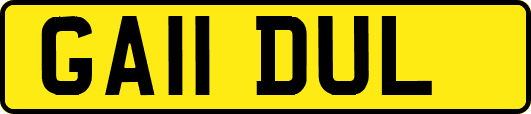 GA11DUL