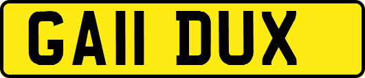 GA11DUX