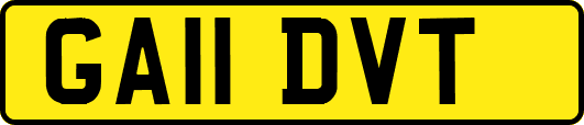 GA11DVT