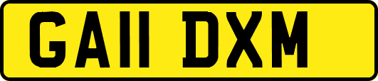 GA11DXM