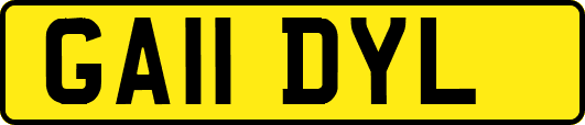 GA11DYL