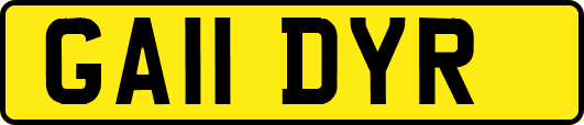 GA11DYR