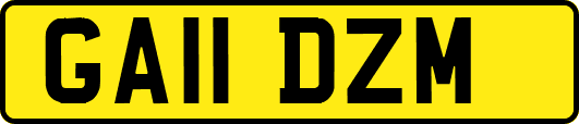 GA11DZM