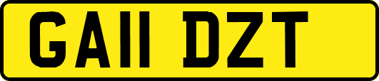 GA11DZT