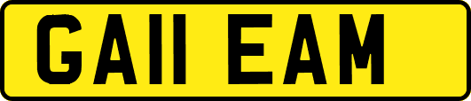 GA11EAM