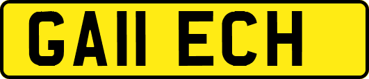 GA11ECH