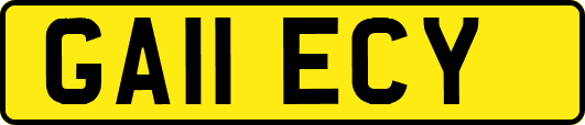 GA11ECY