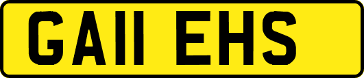 GA11EHS