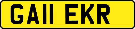 GA11EKR