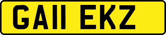GA11EKZ